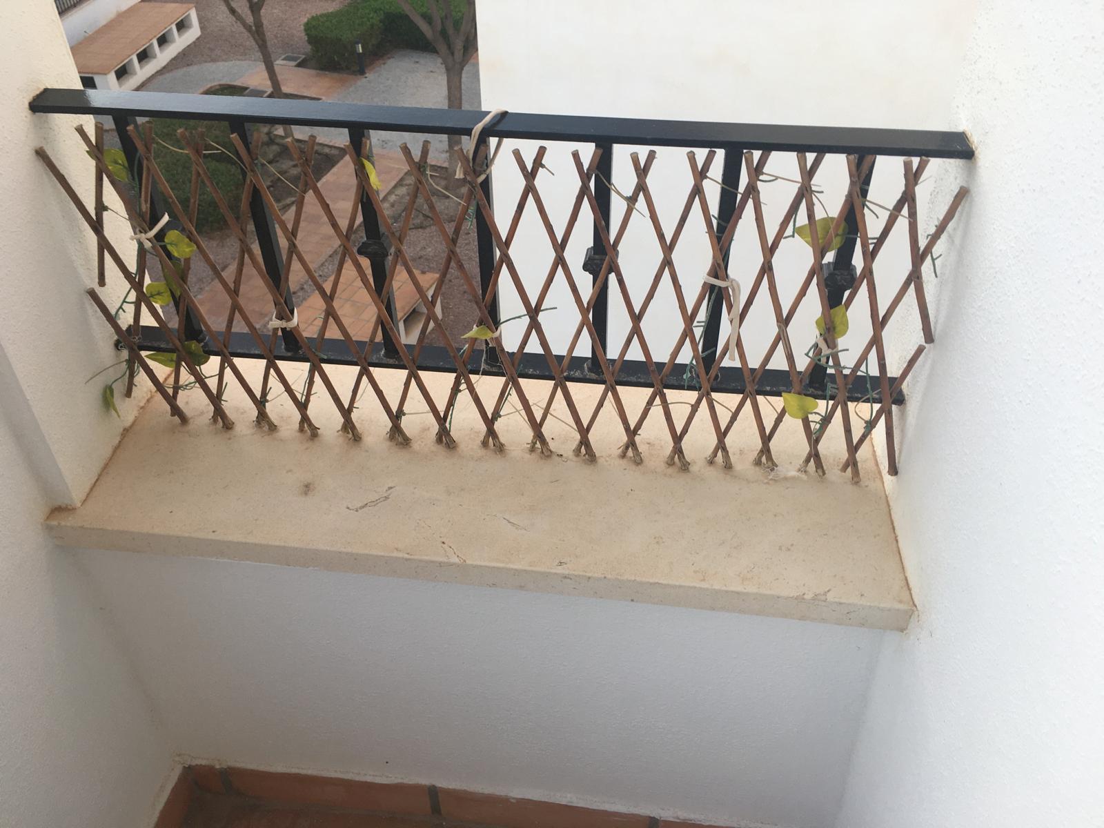 50018_WhatsApp Image 2024-11-28 at 17.23.22 (3).jpeg